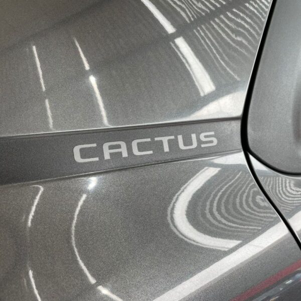 C4 CACTUS FEEL 1.6 16V Flex Mec. - Imagem 15